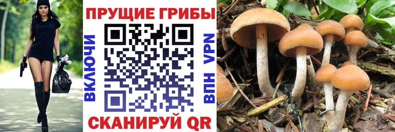 Псилоцибиновые грибы мухоморы  Семёнов 