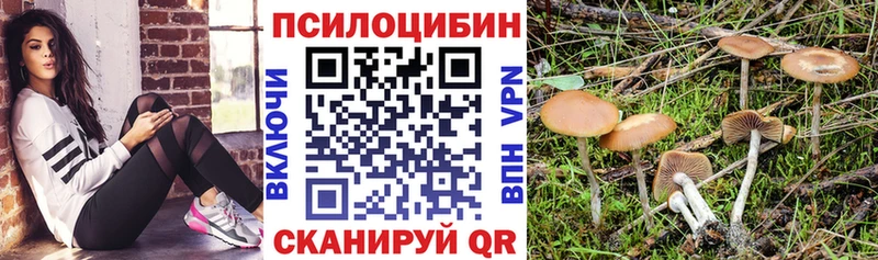 Псилоцибиновые грибы мухоморы Семёнов